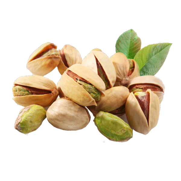 কাঠ বাদাম
